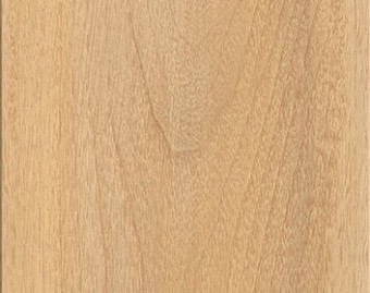 [200111134_20] Creation 30 Solid Clic - 0851 Bostonian Oak Honey